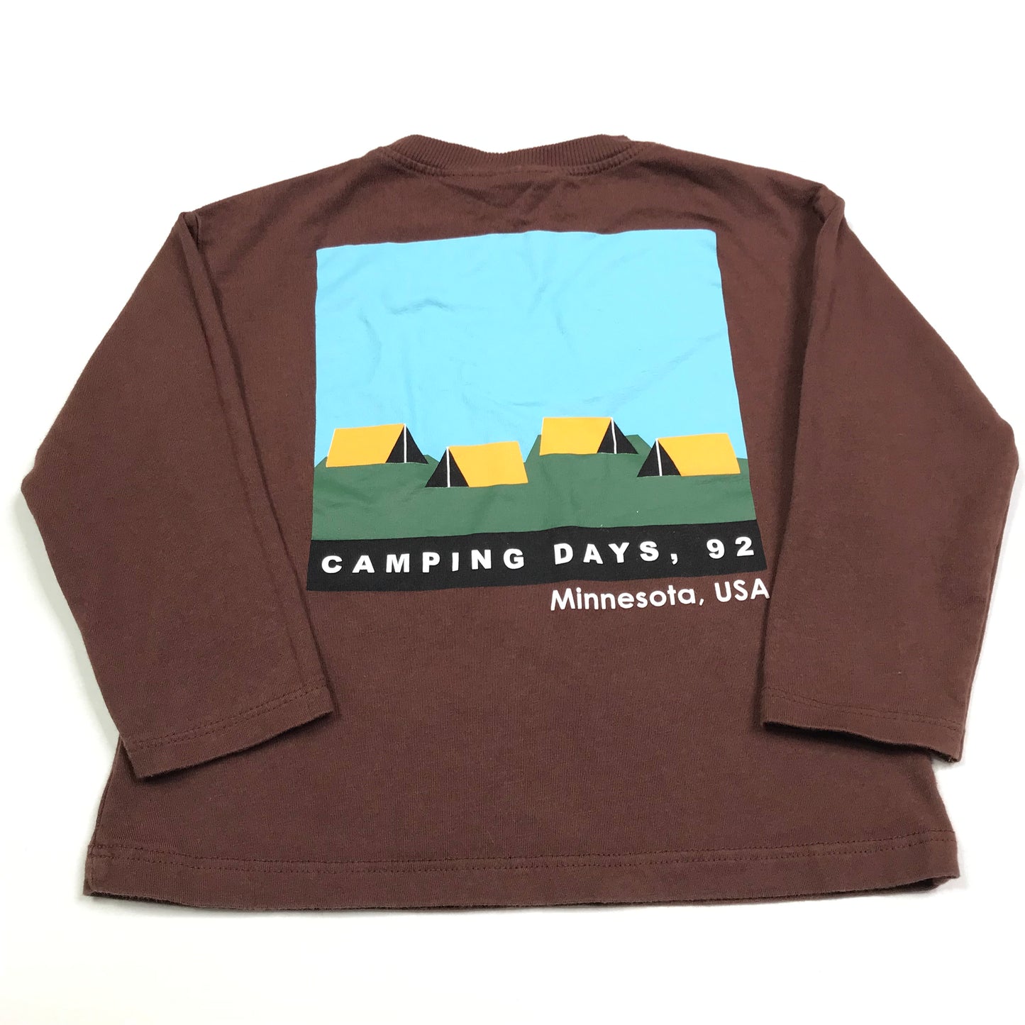 Zara Graphic Tee Long Sleeve Brown Shirt Boys Size 2